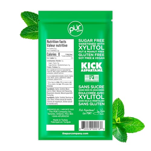 PUR Mints | Aspartame Free Breath Mints | Made with Xylitol | Sugar Free  Vegan  Gluten Free | Natural Spearmint Flavor | 65 Pieces in Re-Sealable pouch (Pack of 1)