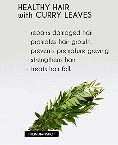 Mb Herbals Curry Leaf Powder 227 Gram | 8 Oz | Curry Leaves Powder | Promotes Hair Growth | Hair Volume | Thicker Hair