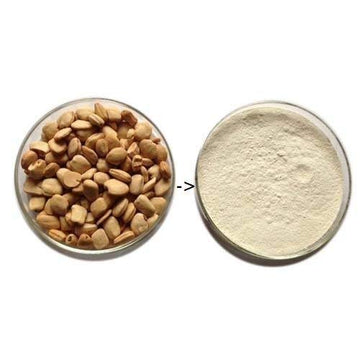 Pmw Tamarind Seed Powder Without Cover -300 Gram
