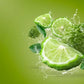 Wegmans Sparkling Water Lime (12 Cans Pack) | 0 Calories | 0 Sugar | 0 Sodium | Vegan