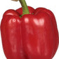 Red Bell Pepper, 1 Each