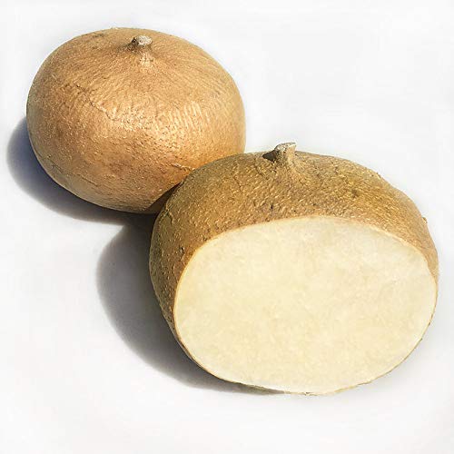 Kejora Fresh Young Jicama 5 Lb