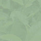 Davidson'S Organics, Guayusa Energy, 100-Count Unwrapped Tea Bags