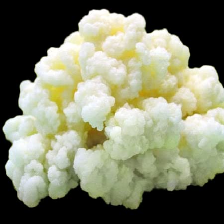 Generic Milk Kefir Grains, Turkish Strain, Live Probiotic Starter, 1 Ounce (Pack of 1)