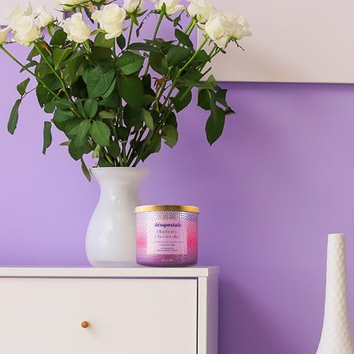Aeropostale Blueberry Cheesecake By Aeropostale Scented Candle 14.5 Oz