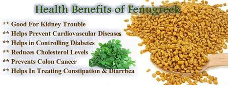 Mb Herbals Fenugreek Seeds Powder 8 Oz | 227 Gram | 0.5 Lb | Organically Grown Fenugreek | Trigonella Foenum-Graecum Sd. | Methi