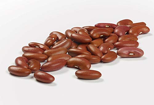 Camellia Brand Dried Red Kidney Beans – Enhanced Non-Gmo Dry Beans For Red Beans And Rice, High Protein Plant-Based Food For Chili, Soups, Salads, Meal Prep, And Cajun Cooking 1 Pound (Pack Of 12)