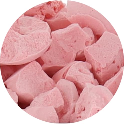 Arctic Farms Freeze Dried Ice Cream Bits Bagged And Boxed - Does Not Melt (Bubble Gum) (2.5Oz)