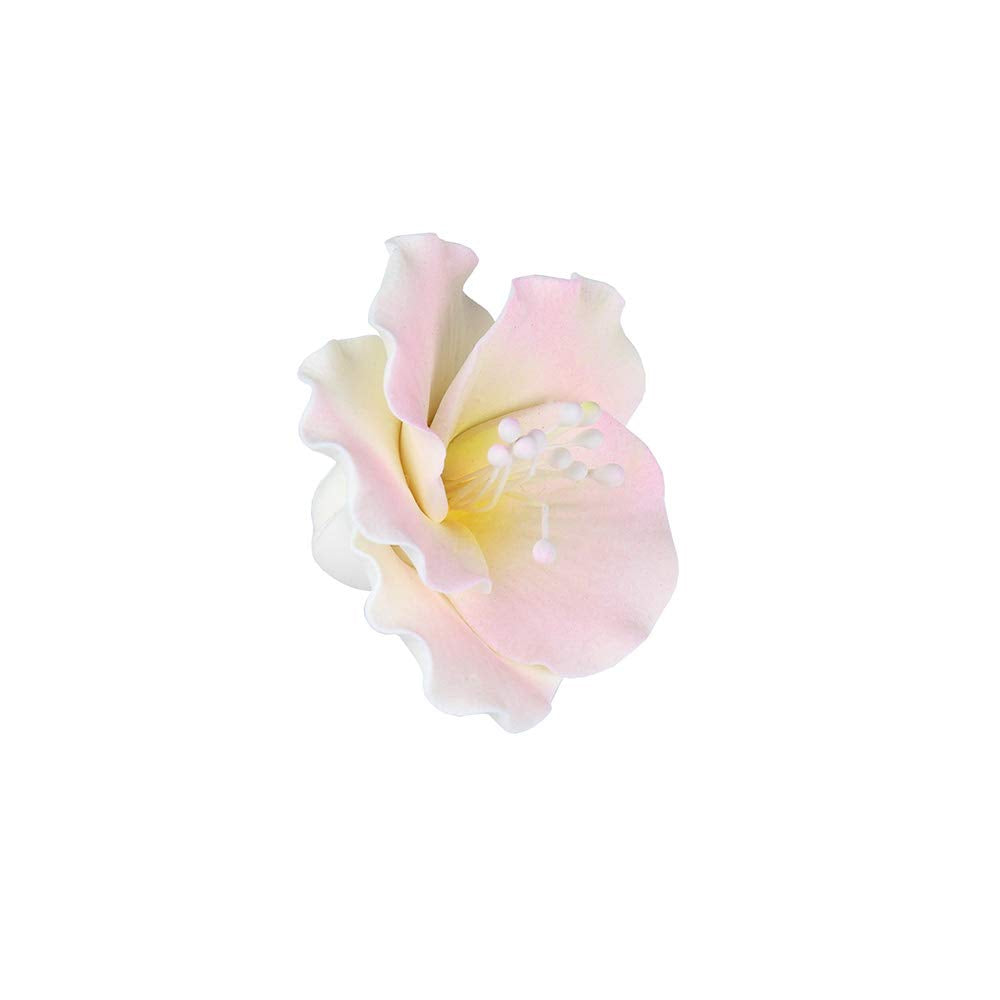 O'Creme Gumpaste White-&-Pink Azalea Flower Set Of 6 - 2 Inch - Edible Flowers For Cake Decorating - Sugar Paste Flower Decorati