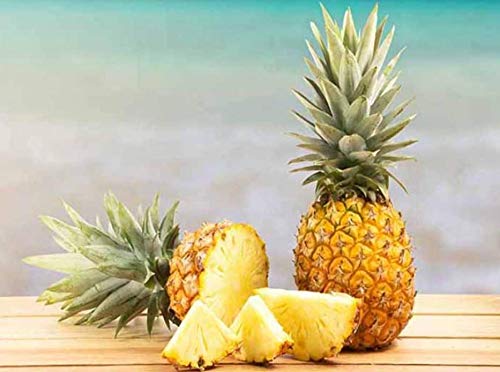 D'Gari Gelatin Dessert Piniapple- Dgari Pina Oz- 5 Pack (Pineapple)