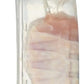 Bell & Evans, Chicken Drumstick Air Chilled Tray Pack Step 2