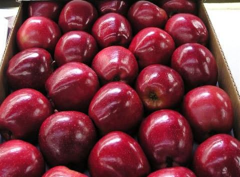 Generic Red Delicious Apples, Fresh Fruit, Usa Grown, Non-Gmo, Bulk (20 Pounds)