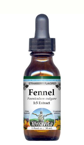 Fennel Seed - Glycerite Liquid Extract (1:5) - Strawberry Flavored (1 fl oz, ZIN: 428098)