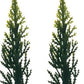 Happy Retirement Toppers Cake Kit