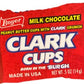 Clark Cup Changemaker