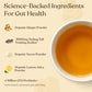 Four Sigmatic Gut Health Organic Herbal Tea | Organic Lemon Ginger Tea with Probiotics & Turkey Tail Mushroom | Instant Digestiv