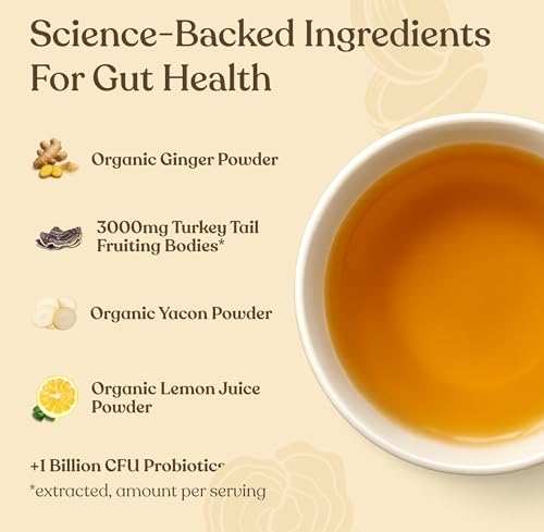 Four Sigmatic Gut Health Organic Herbal Tea | Organic Lemon Ginger Tea with Probiotics & Turkey Tail Mushroom | Instant Digestiv