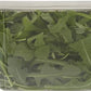 Organicgirl Baby Arugula Greens, Clamshell, 5 Oz