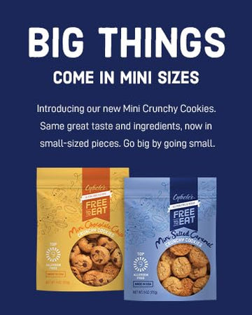 Cybeles Free To Eat Gluten-Free & Vegan Mini Cookies - Plant-Based, Dairy, Soy, & Nut Free - Soft-Baked School Safe Snack For Ki