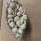 Great Low Carb Bread Company Pasta Shells