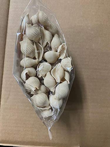 Great Low Carb Bread Company Pasta Shells