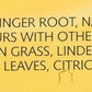 Twinings Tea, Tea, Lemon & Ginger, Pack Of 6, Size 50 Bag - No Artificial Ingredients6