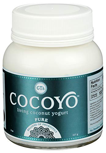 Organic Cocoyo Pure Coconut Yogurt