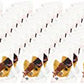Golden Bowl 100 Individually Wrapped Traditional Fortune Cookies