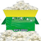 Wint O Green Hard Candy 10 lbs Bulk Pack of Mints Individually Wrapped Bulk Mints for Parties and Events Ideal Wintermint Candy 