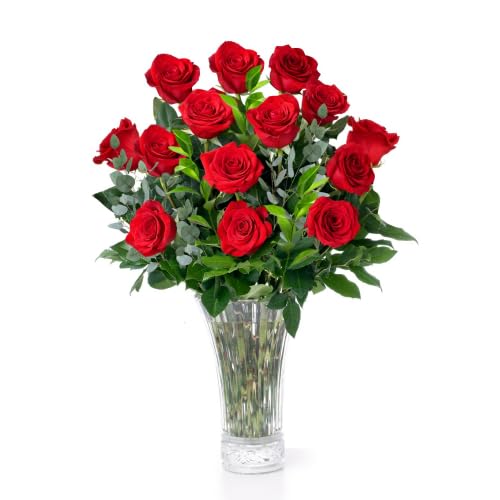 Aquarossa Farms - 12 Red Roses, Fresh Flowers for Delivery, Flowers Fresh Bouquet, Gift Idea for Graduation, Birthday, Anniversa