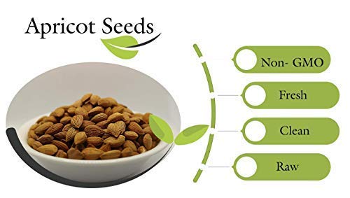 Arashan Apricots Seeds - Dried Sweet Raw Apricot Seeds, Natural| BEST Raw & Sweet Apricot Kernels, Directly From The Fertile Fer