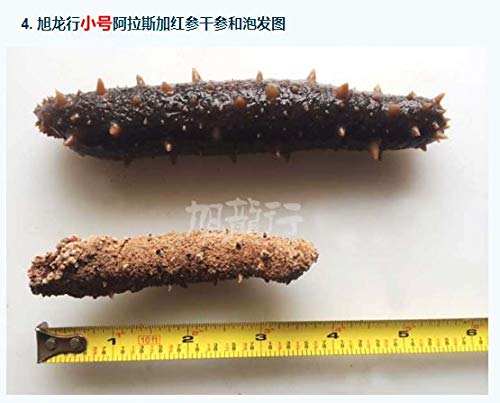 Xxlseafood Premium Sun Dried Alaska Sea Cucumber Sample Pack (2 Pcs Each)    26(Sample)