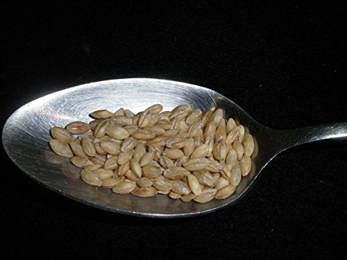 Hulled Barley 5 Pounds (dehulled) USDA Certified Organic Non-GMO Bulk, Product of USA, Mulberry Lane Farms