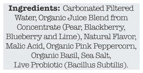 culture Pop Soda - Soda Wild Berries - case Of 6-412 Fz(D0102H54SHJ)