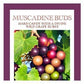Butterfields G  Muscadine g -flavored Hard Candy, 3 Oz. Pack of 3, Copper