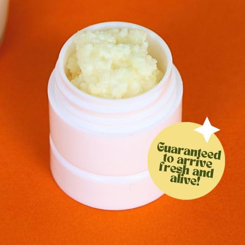 Generic Milk Kefir Grains, Turkish Strain, Live Probiotic Starter, 1 Ounce (Pack of 1)