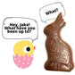 Vegan, Gluten Free Jake The Milkless Chocolate Easter Bunny | Allergy Friendly | Dairy Free, Nut Free, Peanut Free, Soy Free, Sesame Free