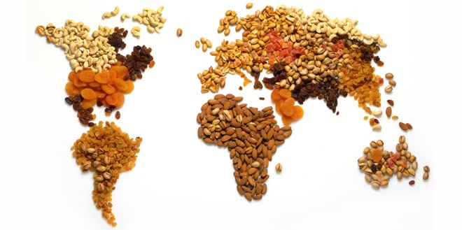 Dried Soybeans (Soynuts) Roasted Salted, 14 Oz., Kosher