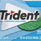 Trident Mint Bliss Bubble Gum, 1 Pound