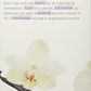 Mighty Leaf Tea Vanilla Bean