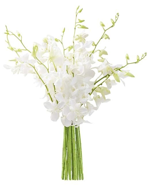 KaBloom Flowers - Mother's Day Collection - 10 White Orchid without vase, Gift for Birthday, Sympathy, Anniversary, Get Well, Th