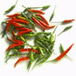 Thai Chili Fresh 14 Oz