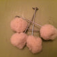 Shiitake Plug Spawn Starter Kit - Grown Your Own Mushrooms