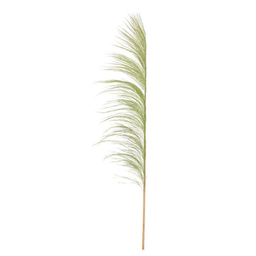 Vickerman 60-72 Basil Uva Palm Spray standing between 60 to 72 inches tall. Pack of 10.