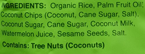 Dang Thai Rice Chips | Gluten Free, Soy Free & Preservative Free Rice Crisps, Healthy Snacks Made with Whole Foods (Coconut Crunch, 3.5 Ounce (Pack of 1))