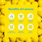 Lemon Perfect Blueberry, Hydrating Flavored Lemon Water, Zero Sugar, Delicious and Refreshing, Organic, 15.2 fl oz Bottle
