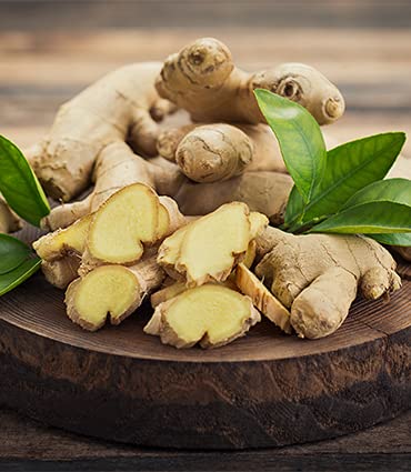 Teadreamtea Ginger Tea Bags - 50 Bleach-Free Tea Bags | Caffeine Free, Antioxidant, Calms Upset Stomach - Strengthen Immune System - Herbal Ginger Tea