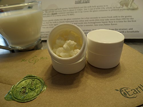 MR. AND MRS. KEFIR Milk Kefir Grains Active Fresh Natural 0.5 Ounce (Pack of 1) MMK-1