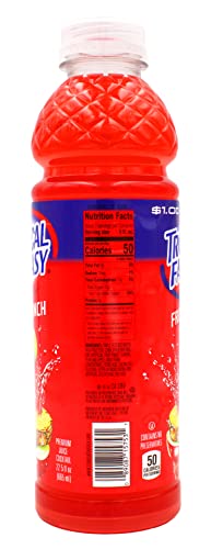 TROPICAL FANTASY Tropical Fantasy Fruit Punch Juice Cocktail, 20 Fl Oz, Pack of 1