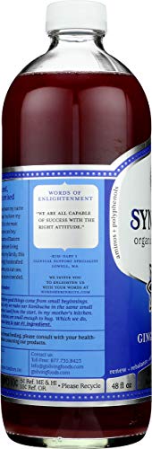 Synergy The Real Kombucha, Gingerberry - 48oz
